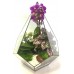 Флорариум с орхидей
